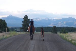 Read more about the article Summer in Pagosa Springs, Colorado – Worth it!